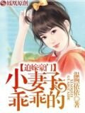 迫嫁豪门：小妻子，乖乖的