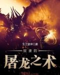 奴隶的屠龙之术